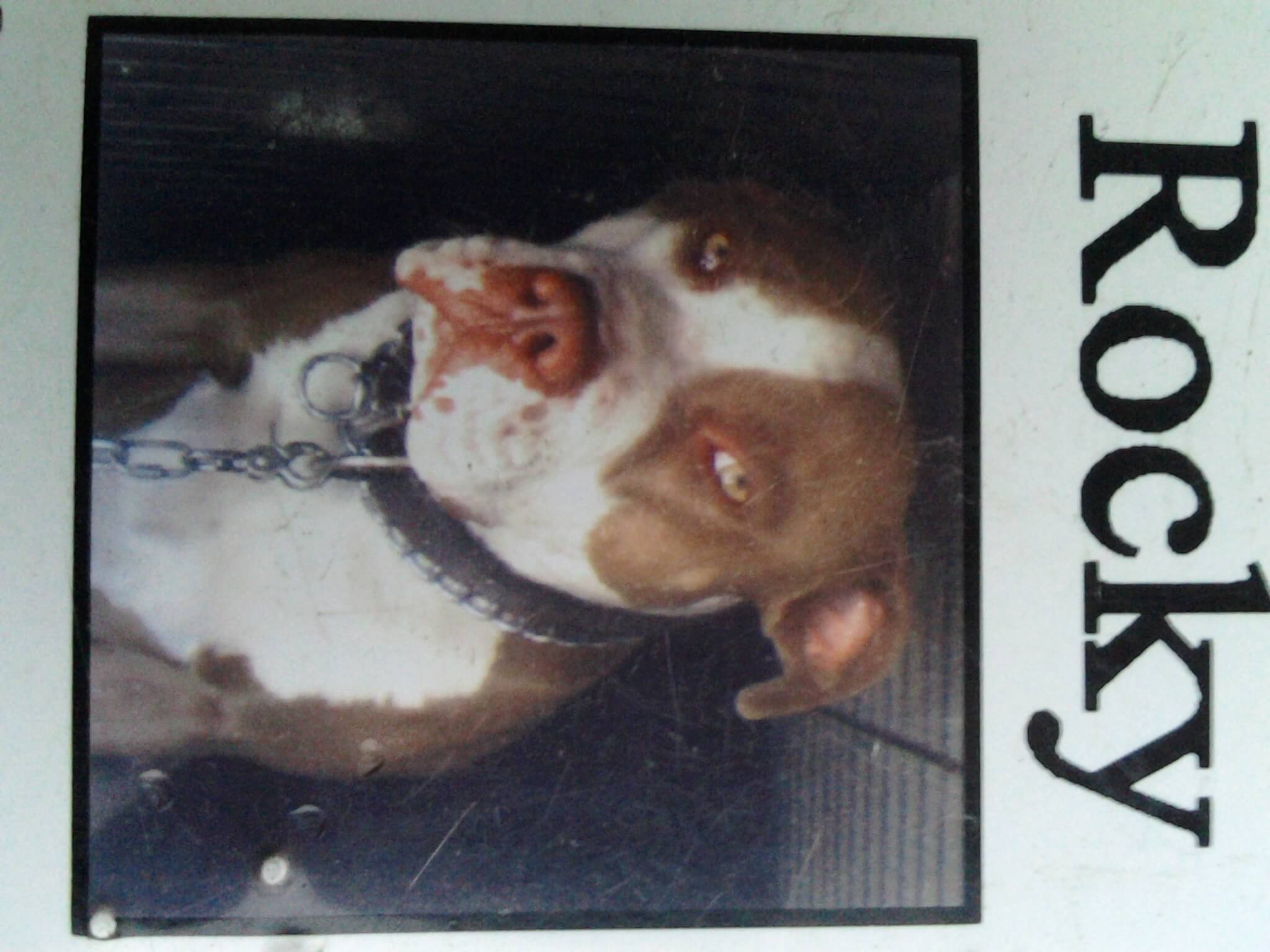 Roxannes dad Rocky