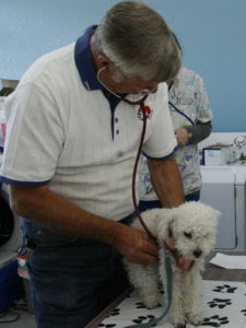 DBrown Photography 21 cropped