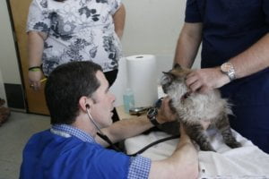 DBrown Photography 5