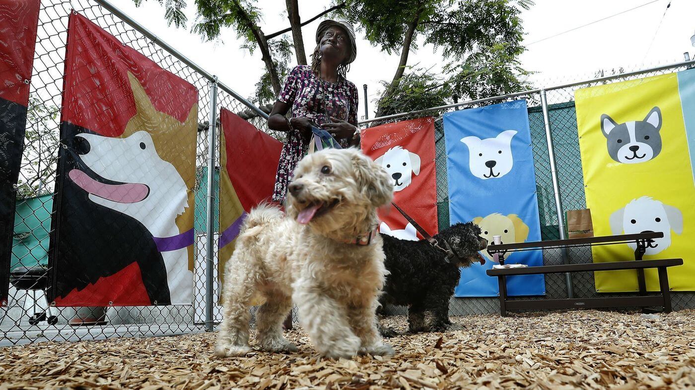 Dog park opens for residents of skid row homeless center