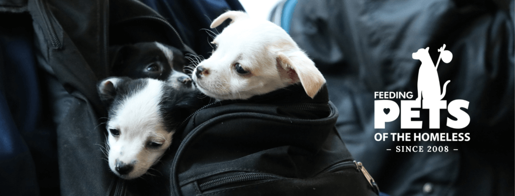 Puppies in a backpack with Feeding Pets of 