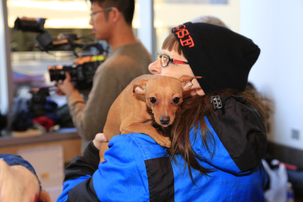 Pets of the Homeless Featured in Elite Daily's Documentary Pets of